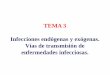 TEMA 3 Infecciones endógenas y exógenas. Vías de ...asignatura.us.es/mbclinica/docs/recursos/12/tema-03.pdf · Tema 3: Infecciones endógenas y exógenas. Vías de transmisión