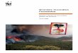 Grandes Incendios Forestales - assets.wwf.esassets.wwf.es/downloads/informe_incendios_06.pdf · Grandes Incendios Forestales 3 WWF/Adena siente una especial preocupación por la evolución