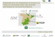 Presentación de PowerPoint - INIA HomePage · herramientas sig avanzadas de ayuda a la foro inia, big data, madrid 1 dic-2015 toma de decisiones para una gestiÓn sostenible de cultivos