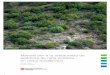 Manual per a la restauració de pedreres de roca calcària ... · Manual per a la restauració de pedreres de roca calcària en clima mediterrani ISBN 978-84-393-7672-9 I. Jorba,