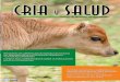 Trabajando juntos para reducir - axonveterinaria.netaxonveterinaria.net/web_axoncomunicacion/criaysalud/42/cys_42... · dando como resultado vacas más sanas y mayor rentabilidad