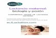 Lactancia maternal: biología y pasión - ilactation.com · He participado en 6 proyectos del Plan Nacional de Investigación del ... Impartió clases prenatales de lactancia materna