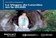 Díptico Virgen de Lourdes - diocesisdecartagena.org · en la que, con las condiciones requeridas por la Iglesia, los asistentes pueden lucrar la Indulgencia Plenaria Templo del Monasterio