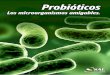 Probióticos - SAE Bolivia · No todas las bacterias o alimentos benéfi-cos que contienen estas baterías se califican como probióticos. Por ejemplo la cuajada de leche, o el yogurt,