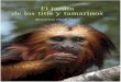 Reseña llibre:Darwin Maqueta v1.qxd · En España está prohibida la venta, cesión e intercambio de primates a/o entre particulares. Los titís y tamarinos protagonistas de las