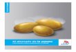 El abonado de la patata - Welcome to K+S KALI GmbH · Contenido de azúcares reductores (%) Fructosa Langwedel 2002 Glucosa 0,35 0,3 0,25 0,2 0,15 0,1 0,05 0 0 300 600 900 Influencia
