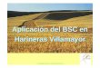 Aplicación del BSC en Harineras Villamayor · Visión enfocada hacia el Liderazgo del sector de harinas, sémolas, salvados y derivados (en calidad, servicio, seguridad alimentaria