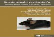 Bienestar animal en experimentación - IBADER · 5Apéndice A del Convenio Europeo sobre la protección de los animales vertebrados utilizados con fines experimentales u otros fines