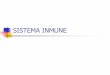 SISTEMA INMUNE - … · linfocitos B: sIg Receptor linfocitos T: TCR ... Los Linfocitos B reconocen antígenos solubles y de superficiey se diferencian en células productoras de