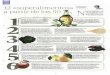 12 ~~~;up ~:ralirnentos~~ DE SALUD PÚBLICA … · 12 ~~~;up ~:ralirnentos~~ a partir ce los 5O Aceite de oliva: Esunaceite~al. extraldo de las aceitunas, frutos del Olivo. La calidad
