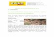 MARTES 28 DE NOVIEMBRE DE 2017 LA …coagcanarias.com/wp-content/uploads/2017/12/Noticias-28-11-2017.pdf · Canarias permitirá cazar vacas, cerdos, cabras, caballos y burros asilvestrados