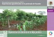 Juan J. Jiménez-Osornio Conservación de Recursos … impacto de la... · Abonos verdes y cultivos de cobertera Ventajas y Desventajas • Producción del cultivo principal •Fertilidad