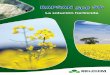 La solución herbicida - Iniciobelchim.es/pdf/Leaflet/Rapsan_LEAFLET.pdf · El herbicida básico en los cultivos ... Amor del hortelano Manzanilla fina Amapola Polígono Verdolaga