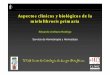 Aspectos clínicos y biológicos de la mielofibrosis primaria · Aspectos clínicos y biológicos de la mielofibrosis primaria Eduardo Arellano Rodrigo ... neoplasia mieloide o mielodisplasia