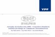 Jornadas de Producción 2009 Comodoro Rivadavia … · •Directiva RSP (recipientes sometidos a presión) –RBI API 581 •HAZOP •Necesidad de aplicar una gestión de proyectos