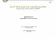 UNIVERSIDAD DE GUANAJUATO - mendel-psg.mxmendel-psg.mx/Docentes/Planes/Bachillerato2010/03/09_QUIMICA_II.pdf · temperatura, presión, volumen y número de moles vinculándolas con