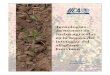 Tecnologías de manejo de suelos agrícolasrepositorio.iica.int/bitstream/11324/3017/1/BVE17068932e.pdf · sobre recuperación, manejo y conservación de suelos. Este trabajo pretende