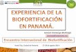 Presentación de PowerPoint - lac.harvestplus.orglac.harvestplus.org/wp-content/uploads/2015/02/Exp-Panama_Sem... · CNB, Chiriquí, Veraguas y Herrera. (IDIAP-Poroto) 350 agricultores