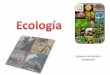 Sistemas de Gestión Ambiental - ucipfg.com€¦Enfoques de la Ecología E. funcional: el ecosistema es la unidad en que todos los elementos que lo componen interactúan entre sí