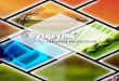 Sin título de diapositiva - cytoperu.comcytoperu.com/articulos/crop+.pdf · ProductosCytozyme se distribuyenen 23 países, en 5 ... Resumen. Crop+Plus 0,50 lt 0 ... Sin título de