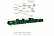 Presentación organizada por José Antonio Pascual Trillojapt.es/bio2bach/METABOLISMO/catabolismo.pdf · El ácido piruvico se transforma en Acetil-CoA mediante ... RESUMEN . CADENA