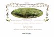 El huerto medicinal – Granja Tierramor - Camino … · 2 El huerto medicinal «El Huerto medicinal»- incl. «pequeño manual de plantas medicinales» cuarta edición, septiembre