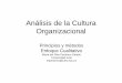 Análisis de la Cultura Organizacional · Punto de Partida ¿Por qué es tan ... • Reconocen la influencia del medio en la cultura organizacional. ... contribuyen al desarrollo