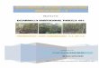DOCUMENTO TECNICO UNIFICADO MODALIDAD - Aconsultaspublicas.semarnat.gob.mx/expediente/qroo/estudios/2015/23... · VI.1 Metodología para el inventario forestal en el área propuesta
