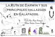 La Ruta de Darwin y sus principales hallazgos en …comunidad.udistrital.edu.co/campsr/files/2016/10/VIDEO-PRESENT... · Estado de conservación del armadillo gigante Priodontes maximus
