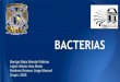 BACTERIAS - mtodo-iv-405.yolasite.commtodo-iv-405.yolasite.com/resources/Exposicion de Bacterias.pdf · • Confieren rigidez, sostén y forma Existen 2 tipos: ... que se encuentran