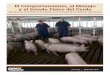 El Comportamiento, el Manejo y el Estado Físico del … Pig Handling... · El Comportamiento, el Manejo y el Estado Físico del Cerdo (del Manual de Control de la Calidad en el Transporte