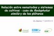 Relación entre nematodes y sistemas de cultivos - caso de ...agritrop.cirad.fr/558122/1/document_558122.pdf · Desarrollo de nuevos sistemas de producción basados en la remediación