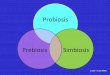 Sin título de diapositiva - ocw.ehu.eus · Que bajo ciertas condiciones los probióticos podrían no estar completamente libre de ... Combinación de prebióticos y probióticos
