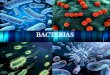 BACTERIAS - s95b9e63f05c6a963.jimcontent.com · BACTERIAS • Las bacterias son relativamente pequeñas, pero tienen un enorme impacto en nuestro mundo, ya que algunas son causantes