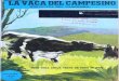 La vaca del campesino - escuelasdigitalescampesinas.orgescuelasdigitalescampesinas.org/apc-aa-files/75919406f871ca9f306c... · del trigo, el tamo de la .alverja, la caña de maíz,