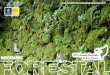 NOVIEMBRE - Jornadas Forestales de Gran Canariajornadasforestalesdegrancanaria.com/wp-content/uploads/2017/11/... · municipios; senderos y salidas de campo, árboles singulares o