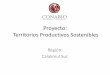 Proyecto: Territorios Productivos Sosteniblessemarnatcam.campeche.gob.mx/wp-content/uploads/2017/01/9... · 2018-04-12 · Las unidades de producción familiar representan aproximadamente