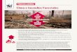 Clima e Incendios Forestales - awsassets.wwf.esawsassets.wwf.es/downloads/fs_bosques_n1gm_1.pdf · En el Pirineo, preocupa especialmente el futuro del abeto. Los bosques de ribera