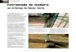 patologías Entramado de madera - AITIMinfomadera.net/uploads/articulos/archivo_4694_15626.pdf · por muros de carga en las fachadas y algunos muros interiores, así como ... patologias