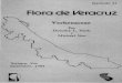 Flora de Veracruz - INECOL · FLORA DE VERACRUZ Publicada por el Instituto Nacional de Investigaciones sobre Recursos Bióticos Xalapa, Veracruz, México. Fasiculo 41 VERBENACEAE
