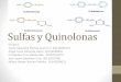 Sulfasy Quinolonas · • Las quinolonas en general son bien toleradas, con un perfil de seguridad similar para todos los componentes del grupo. Existen pequeñas diferencias tanto