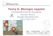 Tema 6. Biología vegetaldpbiologia.weebly.com/uploads/2/1/5/5/21553524/gtp_t6.biología... · decir, pigmentos vegetales con capacidad para captar la luz: las fototropinas ... polinizadores