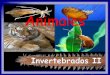Animales - I.E.S "POETA CLAUDIO RODRÍGUEZ"iespoetaclaudio.centros.educa.jcyl.es/sitio/upload/invertebrados2... · CLASES DE MOLUSCOS Gasterópodos o univalvos Bivalvos Cefalópodos