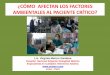 ¿Cómo afectan los factores ambientales al paciente crítico?uciperu.com/uciperu_archivos/factoresambientalesuciperu.pdf · La familia en apoyo en la dieta de paciente UCI 2C Hospital