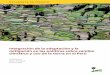 Integración de la adaptación y la mitigación en las ... · Documento de Trabajo 189 Integración de la adaptación y la mitigación en las políticas sobre cambio climático y