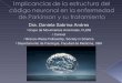 Dra. Daniela Sabrina Andres - CNEA · actividad del núcleo en lugar de inhibirla ... correlación negativa con la severidad de la enfermedad International Journal of Neural Systems