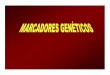 Tema marcadores enologia ampliado 2011 - Universidad de Cádizasociaciones.uca.es/genetica-vid/Bloques/Bloque-Marcadores-genetic... · Polimorfismos de Longitud en Fragmentos de Restricción