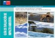 GUÍA DE EVALUACIÓN DE IMPACTO AMBIENTAL - aih-cl.orgaih-cl.org/guias/Guia_evaluacion_recursos_naturales(SEA).pdf · mejorar la calidad de la evaluación ambiental de los proyectos