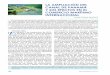 LA AMPLIACIÓN DEL CANAL DE PANAMÁ Y SUS EFECTOS …revistamarina.cl/revistas/2011/2/galvez.pdf · ensanche de sus cauces y el aumento del nivel de operación del lago Gatún. El