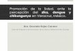 Trabajo de Percepción - smsp.org.mx · percepción del zika, dengue y chikungunya en Veracruz, México. Dra. Graciela Rojas Carrera Líder del Programa de Promoción de la Salud